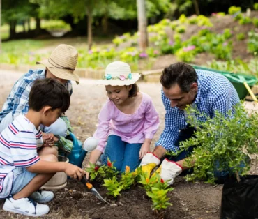 Gardening